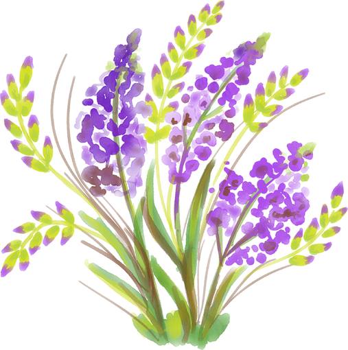 Iris flower